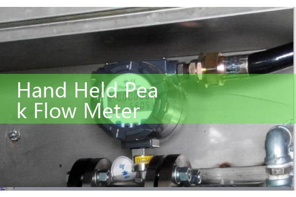 Hand Held Peak Flow Meter Logs: Tracking Daily Respiratory Vital Capacity for Asthma at Home